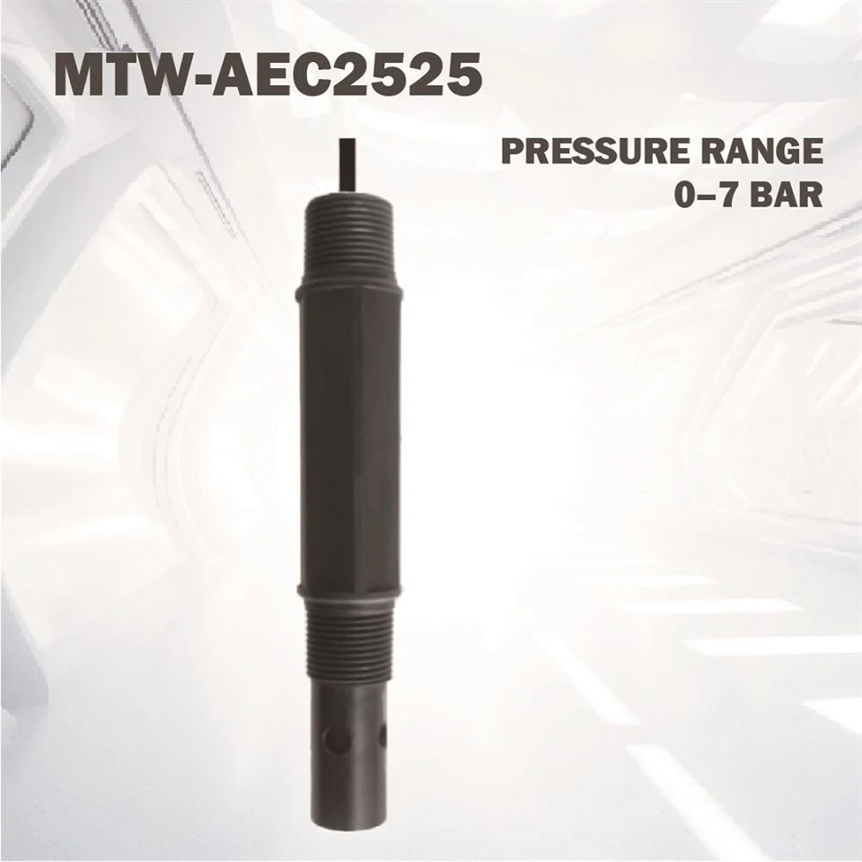 Electrochemical Dissolved Oxygen Probe(001)